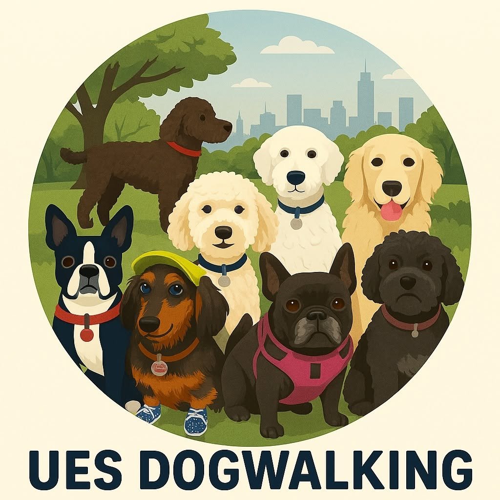 UESide Dog Walking