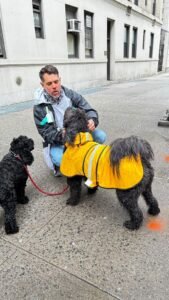 dog-walking-galery (17)