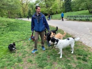 Group Walk
